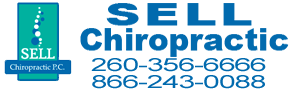Professional Logo